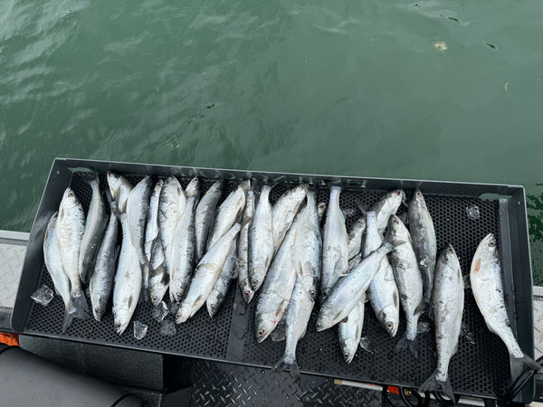 best fishing line kokanee site www.ifish.net Guided Kokanee Day Trip* – REEL HOOK'D OUTDOORS