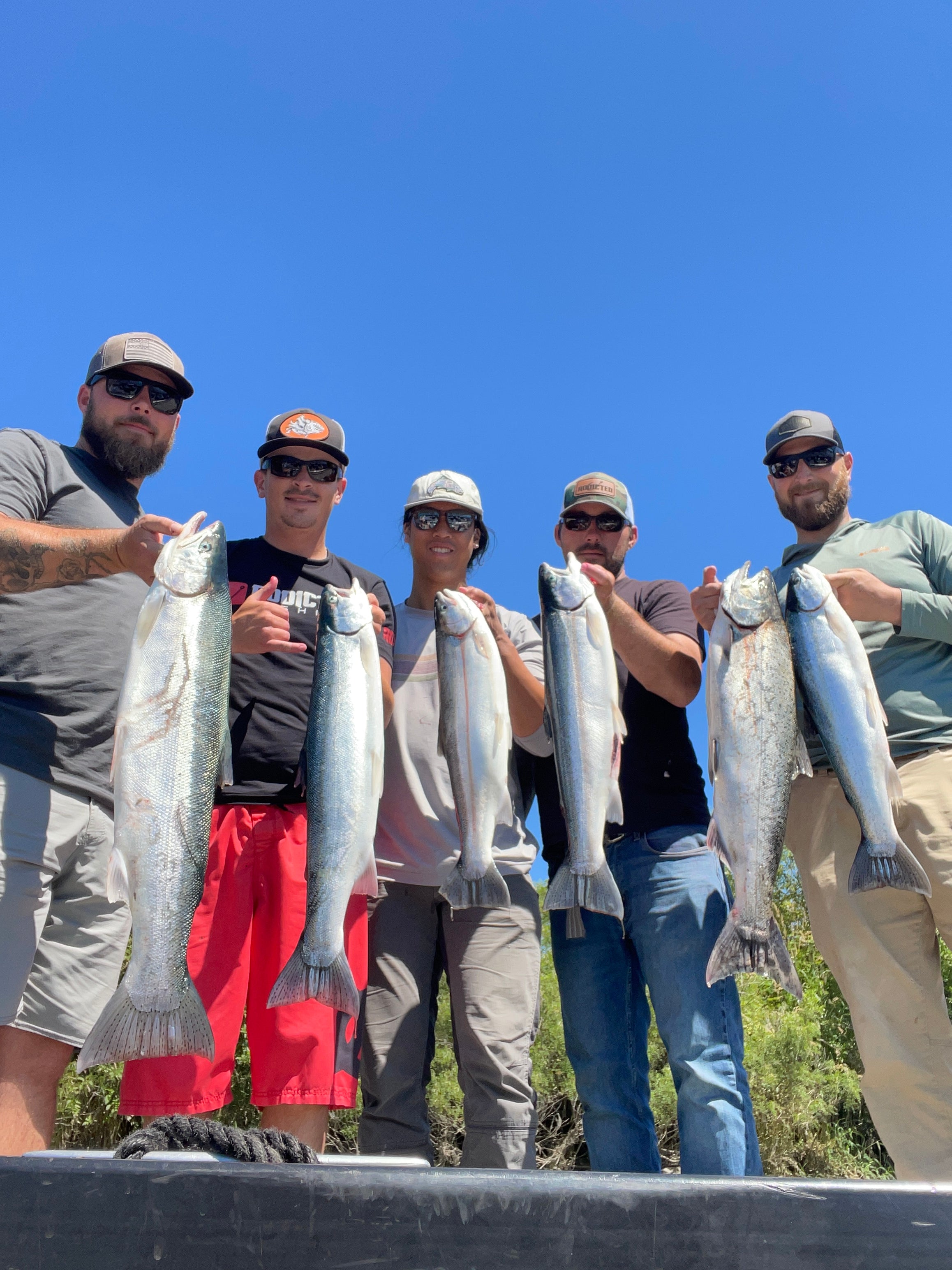 Guided Steelhead/Salmon Day Trip*